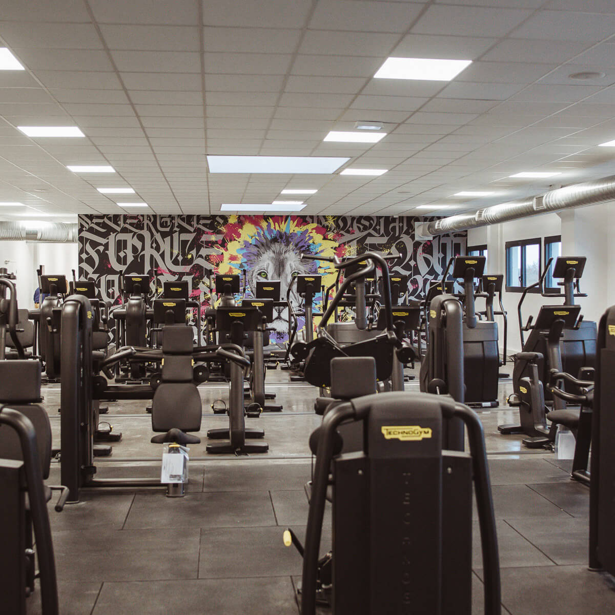 L'espace de musculation cardio à Artligne à Carquefou