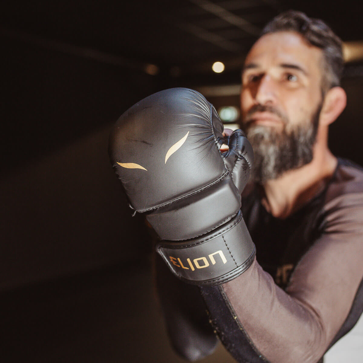 Espace combat à Artligne à Carquefou
